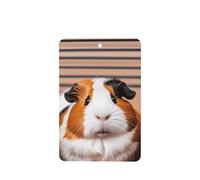 Lot de 6 désodorisants amusants à suspendre pour voiture, cochons d'Inde, mignons et durables, parfumés à suspendre, ornements, cadeaux, accessoires de décoration d'intérieur pour homme et femme