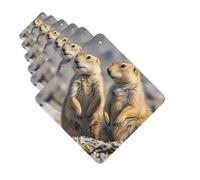 Lot de 6 désodorisants carrés à suspendre pour voiture - Deux chiens de prairie - Désodorisant pour rétroviseur de voiture - Carte parfumée pour voiture