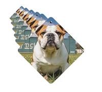 Lot de 6 désodorisants carrés à suspendre pour voiture, motif bouledogue anglais, carte parfumée pour voiture