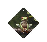 Lot de 6 désodorisants de voiture à suspendre - Cartes parfumées - Tablettes d'aromathérapie de voiture - Arbre de la paix - Grenouille - Désodorisant de voiture - Cadeau pour homme et femme