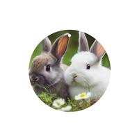 Lot de 6 désodorisants de voiture à suspendre - Cartes parfumées - Tablettes d'aromathérapie de voiture - Deux petits lapins mignons - Désodorisant de voiture - Pendentif miroir - Cadeaux pour femmes