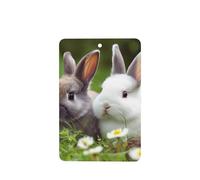 Lot de 6 désodorisants de voiture à suspendre - Cartes parfumées - Tablettes d'aromathérapie de voiture - Deux petits lapins mignons - Pendentif miroir intérieur de voiture - Cadeaux pour femmes et