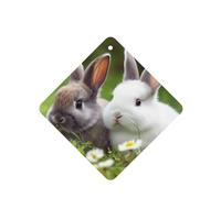 Lot de 6 désodorisants de voiture à suspendre - Cartes parfumées - Tablettes d'aromathérapie de voiture - Deux petits lapins mignons - Pendentif miroir intérieur de voiture - Cadeaux pour femmes et