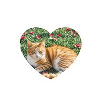 Lot de 6 désodorisants de voiture amusants à suspendre - Chat et pétales - Longue durée - Pour miroir - Décoration d'intérieur - Accessoires de décoration d'intérieur pour homme et femme