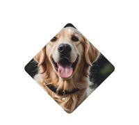 Lot de 6 désodorisants de voiture amusants à suspendre - Golden Retriever - Longue durée - Pour miroir - Décoration d'intérieur - Accessoires de décoration d'intérieur pour homme et femme