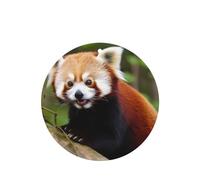 Lot de 6 désodorisants de voiture amusants à suspendre - Petit panda rouge - Longue durée - Parfumé - Décoration à suspendre - Cadeau - Accessoires de décoration d'intérieur pour homme et femme