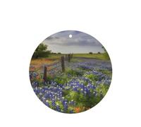 Lot de 6 désodorisants de voiture amusants à suspendre pour voiture, paysage des bleuets du Texas, mignon et durable, parfumé, décoration à suspendre, ornements, cadeau, accessoires de décoration