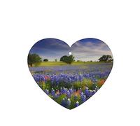 Lot de 6 désodorisants de voiture amusants à suspendre pour voiture, paysage des bleuets du Texas, mignon et durable, parfumé, décoration à suspendre, ornements, cadeau, accessoires de décoration
