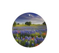 Lot de 6 désodorisants de voiture amusants à suspendre pour voiture, paysage des bleuets du Texas, mignon et durable, parfumé, décoration à suspendre, ornements, cadeau, accessoires de décoration