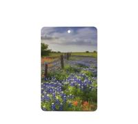 Lot de 6 désodorisants de voiture amusants à suspendre pour voiture, paysage des bleuets du Texas, mignon et durable, parfumé, décoration à suspendre, ornements, cadeau, accessoires de décoration