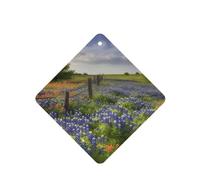 Lot de 6 désodorisants de voiture amusants à suspendre pour voiture, paysage des bleuets du Texas, mignon et durable, parfumé, décoration à suspendre, ornements, cadeau, accessoires de décoration