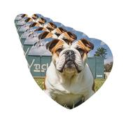 Lot de 6 désodorisants de voiture en forme de cœur à suspendre - Cartes parfumées drôles - Bouledogue anglais - Désodorisant pour voiture