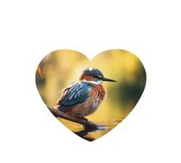 Lot de 6 désodorisants de voiture en forme de cœur WZYWHJ avec imprimé oiseaux de lagon