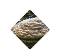 Lot de 6 désodorisants de voiture « Look At All That Rice » - Amusants à suspendre - Longue durée - Pour miroir - Décoration d'intérieur - Accessoires de décoration d'intérieur pour homme et femme