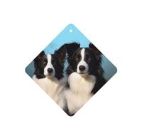 Lot de 6 désodorisants pour voiture Border Collie - Amusants à suspendre - Mignon - Longue durée - Parfumé - Décoration à suspendre - Cadeau - Accessoires de décoration d'intérieur pour homme et femme