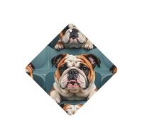 Lot de 6 désodorisants pour voiture, drôles à suspendre, bouledogue anglais, mignon, durable, parfumé, miroir, décoration d'intérieur, accessoires de décoration d'intérieur pour homme et femme