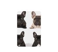 Lot de 6 désodorisants pour voiture, drôles à suspendre, bouledogue français, mignon, durable, parfumé, miroir, décoration d'intérieur, accessoires de décoration pour homme et femme