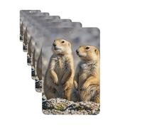 Lot de 6 désodorisants rectangulaires à suspendre pour voiture - Deux chiens de prairie