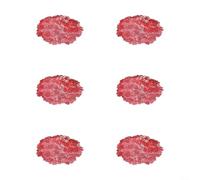 Lot de 6 dessous de verre en PVC conçus avec un minimalisme nordique et un gaufrage floral en feuille d'or pour protection thermique et utilisation décorative (rouge)