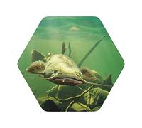Lot de 6 dessous de verre en PVC imprimé poisson-chat sous-marin, dessous de verre pour boisson, café - 6 pièces