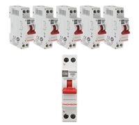 Lot de 6 disjoncteurs à vis PH+N - 20A NF - Thomson