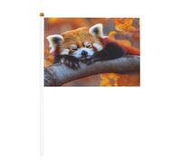 Lot de 6 et 10 mini drapeaux de petit panda endormi, durables de 14 x 21 cm sur bâtons pour l'extérieur, la cour et le jardin
