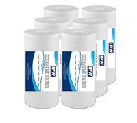 Lot de 6 filtres à eau à sédiments pour toute la maison, 25,4 cm, 1 micron bien assorti avec RFC-BBSA, W15-PR, WFHD13001B, GXWH35F, GXWH30C, HF45-10BLBK10PR et AP817