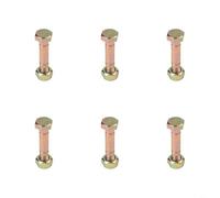 Lot de 6 goupilles de cisaillement et écrous de 5/16" pour souffleuse à neige Ariens 52100100 PRO - Convient à toutes les options de largeur standard de 66 cm à 167,6 cm