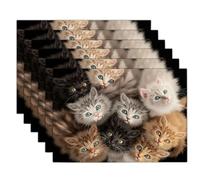 Lot de 6 Lin et Coton Gros Plan d'un Chat À Poils Longs Sets de Table | Lavables Antidérapants Set de Table, Portraits d'animaux Mignons Napperons Décoratifs pour Cuisine, Salle à Manger 45x30cm