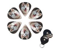 Lot de 6 médiators de guitare Husky Piquant Dog - Double face - Personnalisés - Avec boîte de rangement - Accessoires pour ukulélé - Pour homme et femme