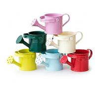 Lot de 6 Mini arrosoirs pour Enfants Petits arrosoirs en métal avec Long Bec pour Un versement Facile pour Plantes d'intérieur et d'extérieur