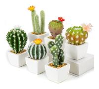 Lot de 6 Mini Cactus artificiels dans des Pots en céramique Blanche - Plantes succulentes artificielles Assorties - pour la Maison, la Cuisine, la Salle de Bain, Le Bureau, la bibliothèque