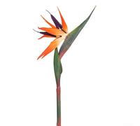 Lot de 6 oiseaux de paradis artificiels réalistes en plastique et tiges de fil de fer pour intérieur, jardin, mariage et décoration d'intérieur (orange trompette)