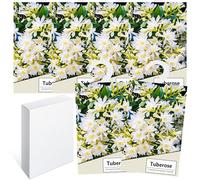 Lot de 6 parfums de linge, désodorisants d'armoire, parfum d'armoire, sac de parfum frais, penderie, parfum, sac suspendu, déodorant d'armoire, parfum naturel, sac (6 ombres de nuit)