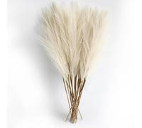 Lot de 6 plantes de la pampa artificielles de décoration bohème de 50 cm pour décoration de table, arrangements floraux, mariage, maison, décoration de Noël, beige