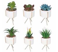 Lot de 6 Plants Gras artificiels avec Pot et Support doré, Ø9 x 17 cm