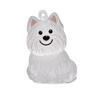 Lot de 6 porte-clés commémoratifs pour animaux de compagnie avec boîte de rangement transparente pour les poils des amoureux des chiens, collectionneurs de fourrures, pendentifs, décoration