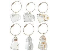 Lot de 6 porte-clés en poils de chat, mémoires de chien, porte-clés pour animaux de compagnie, stockage de poils de chat pour souvenirs émotionnels, matériaux de qualité supérieure