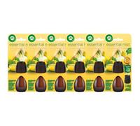 Lot de 6 Recharges Parfum Essential Mist Thym Citron/Romarin 20 ml