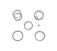 Lot de 6 ressorts de rechange et roulements à billes pour porte-embouts de visseuse à percussion DeWalt 20 V DCF885 DCF886 DCF887 DCF888 - N016823 N019351 N053863 N078434 N089668
