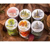 Lot de 6 rouleaux de ruban adhésif Washi en PET pour scrapbooking, saisons, journal, bullet journal, travaux manuels, emballage cadeau, peinture