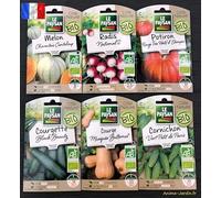 Lot de 6 sachets de graines, légumes Bio, Melon, radis, courgette, potiron, courge, cornichon