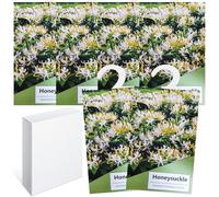 Lot de 6 sachets parfumés pour Armoire, penderie, Parfum d'armoire, sachets parfumés Frais, Sac parfumé, Sac à Suspendre, décoration d'armoire, Sachet d'odeur Naturelle (Chèvrefeuille)