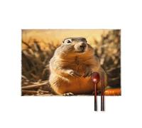 Lot de 6 sets de table résistants à la chaleur antidérapants et résistants aux taches - Motif marmotte dessiné à la main - Imperméable et facile à nettoyer - Décoration de table de cuisine