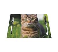 Lot de 6 sets de table résistants à la chaleur antidérapants pour table de salle à manger, motif chat tigré sur l'herbe, sets de table lavables en PVC tissé pour fête, cuisine, salle à manger, 45 x 30