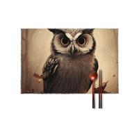 Lot de 6 sets de table résistants à la chaleur pour table de salle à manger - Lavables - Antidérapants - Tissés - Pour intérieur et extérieur - Motif chouette mignonne