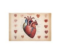 Lot de 6 sets de table résistants à l'huile et à la chaleur - WZYWHJ - Anatomie humaine - Assiettes à manger imprimées