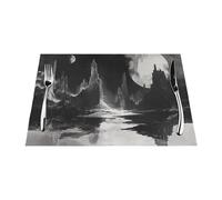 Lot de 6 sets de table tissés résistants à la chaleur et faciles à nettoyer. Convient pour les fêtes en plein air, décoration de cuisine, accessoires de table, 30,5 x 45,7 cm, image fantôme monochrome