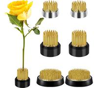 Lot de 6 supports de fleurs ronds pour arrangements floraux japonais - 2,4 cm, 2,6 cm, 3,3 cm