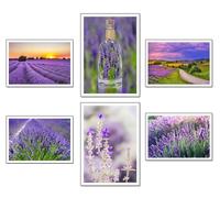 Lot de 6 tableaux avec base en bois, décoration de salon modernes, chambres à coucher, paysage, nature, champs de lavande Brihuega avec crochets métalliques (38 x 29 cm chacun)
